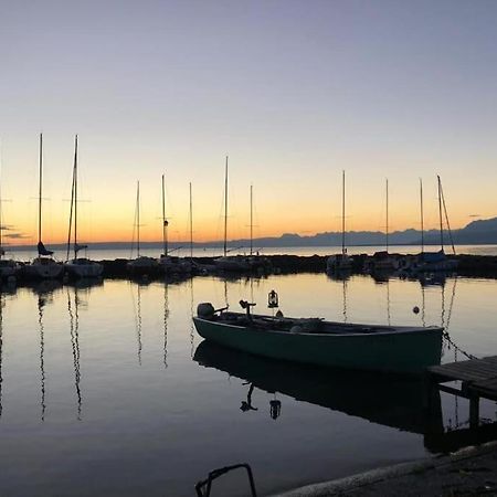 Villa Moderne, A 2 Pas Du Lac Leman 시에즈 외부 사진